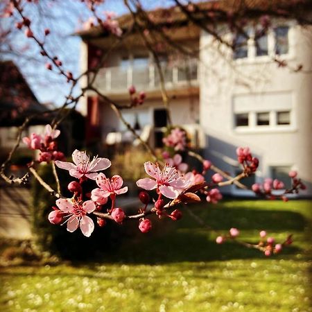 Ferienwohnung Im Aalbachtal - Uettingen Bei Wuerzburg Ngoại thất bức ảnh