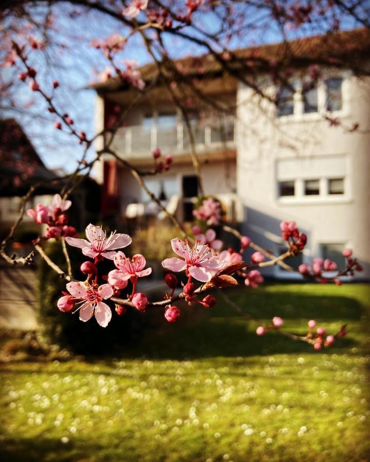 Ferienwohnung Im Aalbachtal - Uettingen Bei Wuerzburg Ngoại thất bức ảnh