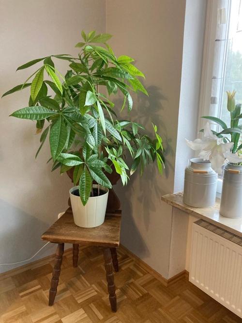 Ferienwohnung Im Aalbachtal - Uettingen Bei Wuerzburg Ngoại thất bức ảnh
